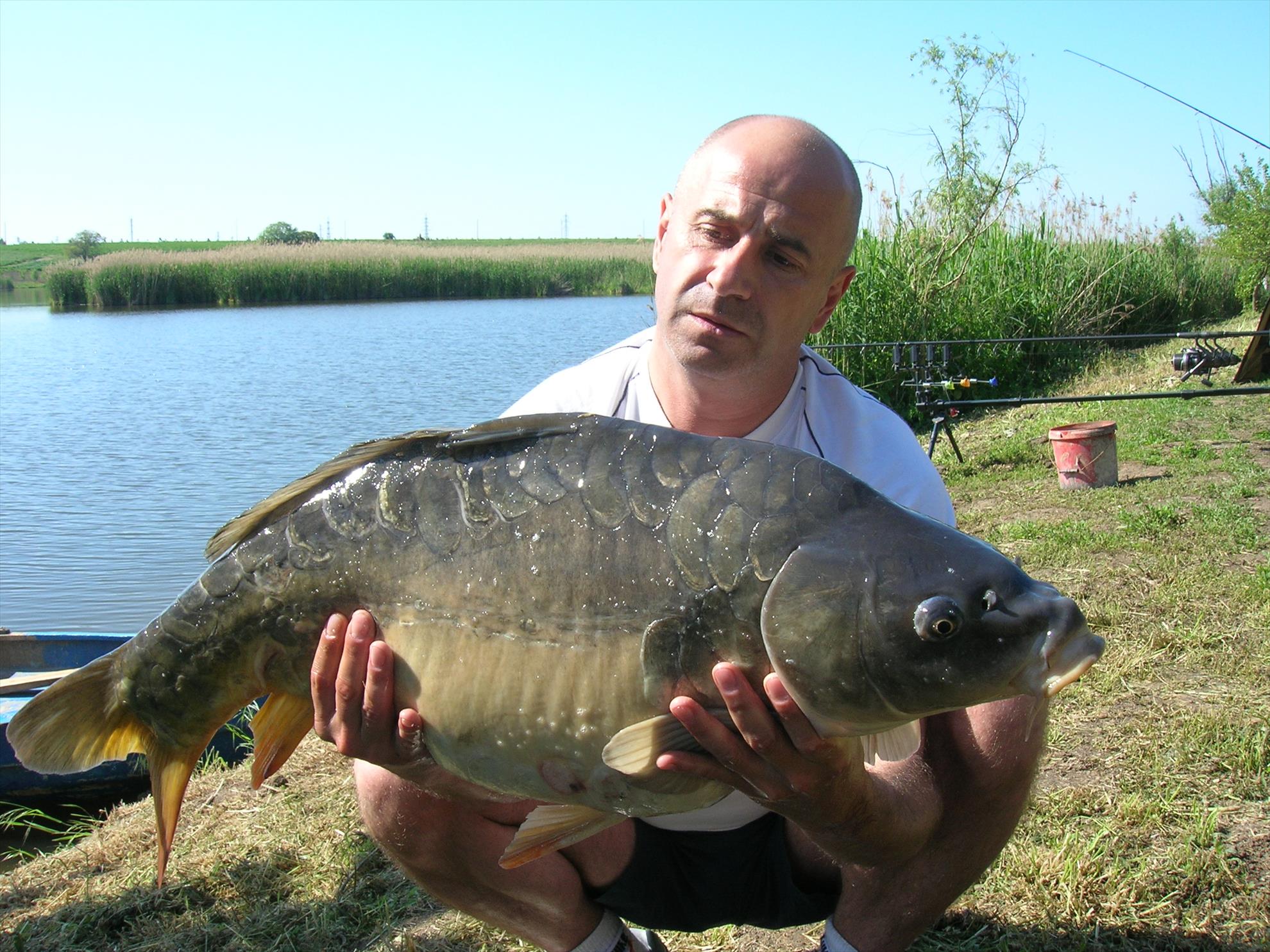 MAI VECHI - dscn5199.JPG